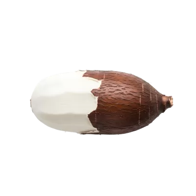 Imagen PNG para descargar